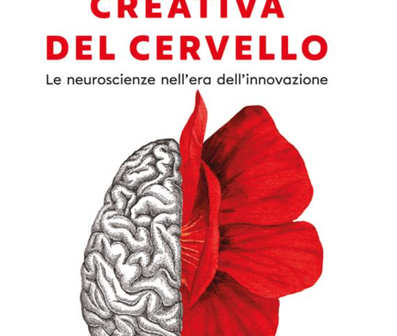 La vita creativa del cervello