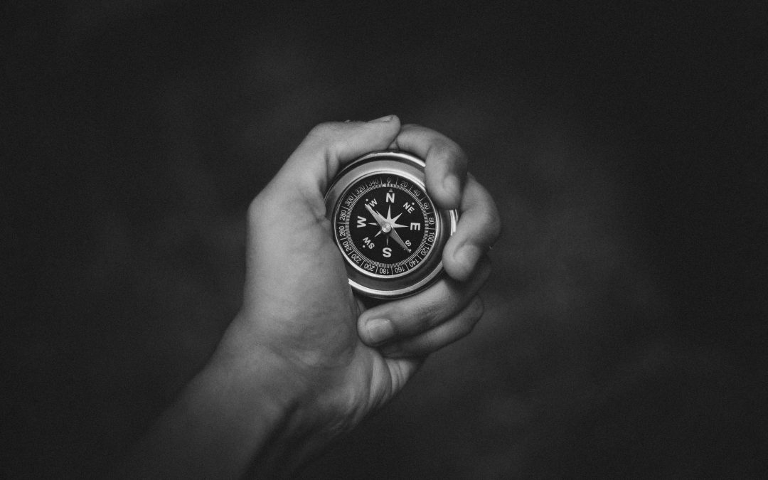 Il Purpose come Viaggio: Trasformare Parole in Azioni per un Cambiamento Reale